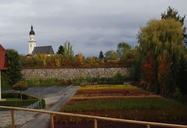 Herbststimmung 