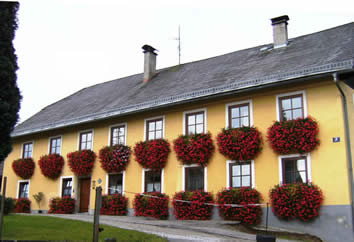 Blumenschmuck beim Tanzerbauer am 15. November 2008